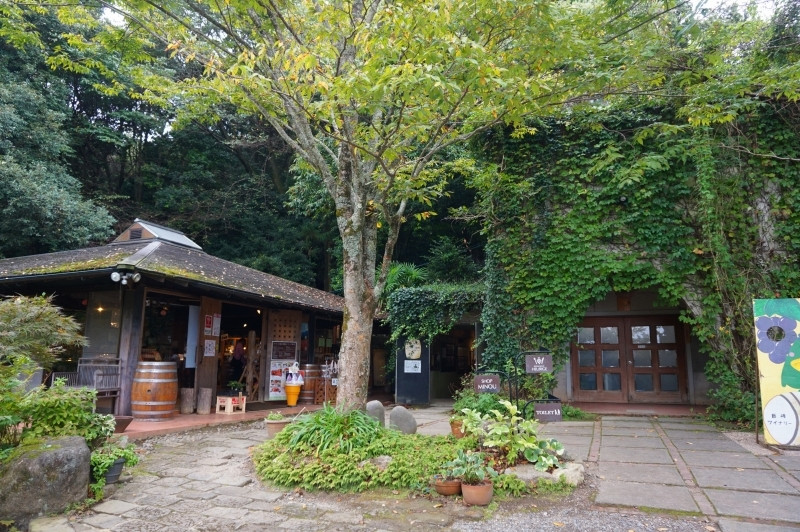 巨峰ワイナリー3632975