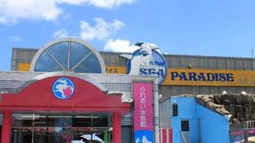 施設からの眺望 / 36