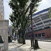 東横イン横浜スタジアム前1（神奈川県 ビジネスホテル） / 3