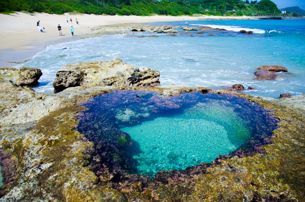 【奄美大島】成田からひとっ飛び!東洋のガラパゴス3547157