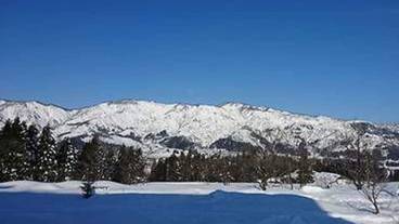 マウンテン ビュー / 24