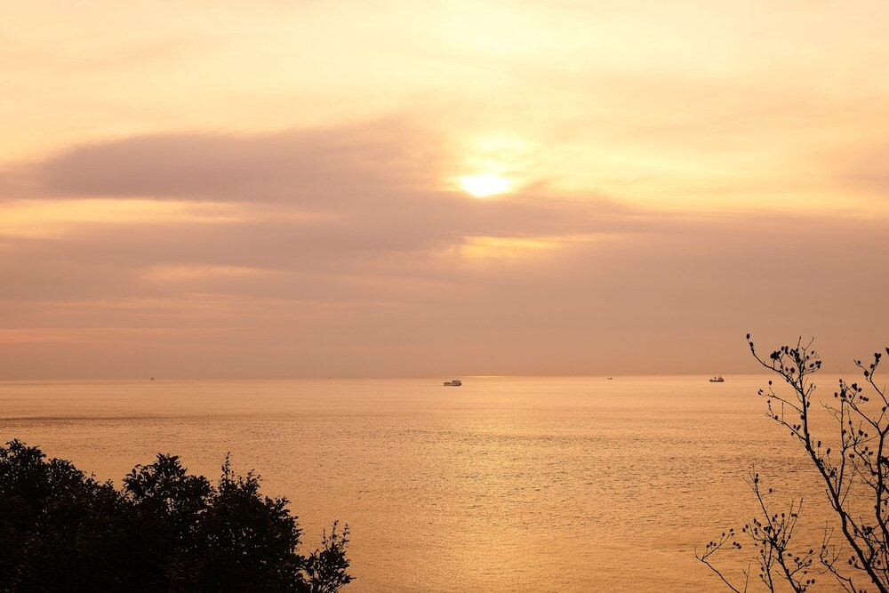 ビーチ / オーシャン ビュー