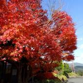 里山の隠れ宿 花富亭（かふうてい）（熊本県 旅館） / 5