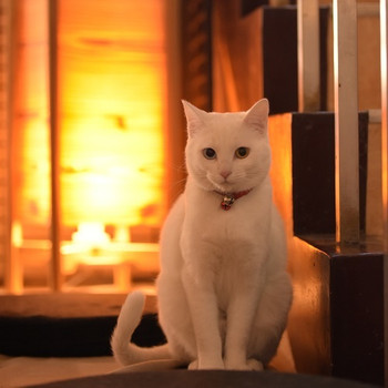 トロトロの美肌湯に"地獄蒸し"。温泉通カップルにはたまらない♪3379825