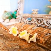 パームヴィラ石垣島 fusu（沖縄県 別荘・ヴィラ・コンドミニアム） / 2