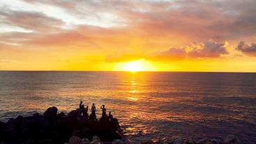 ビーチ / オーシャン ビュー / 12