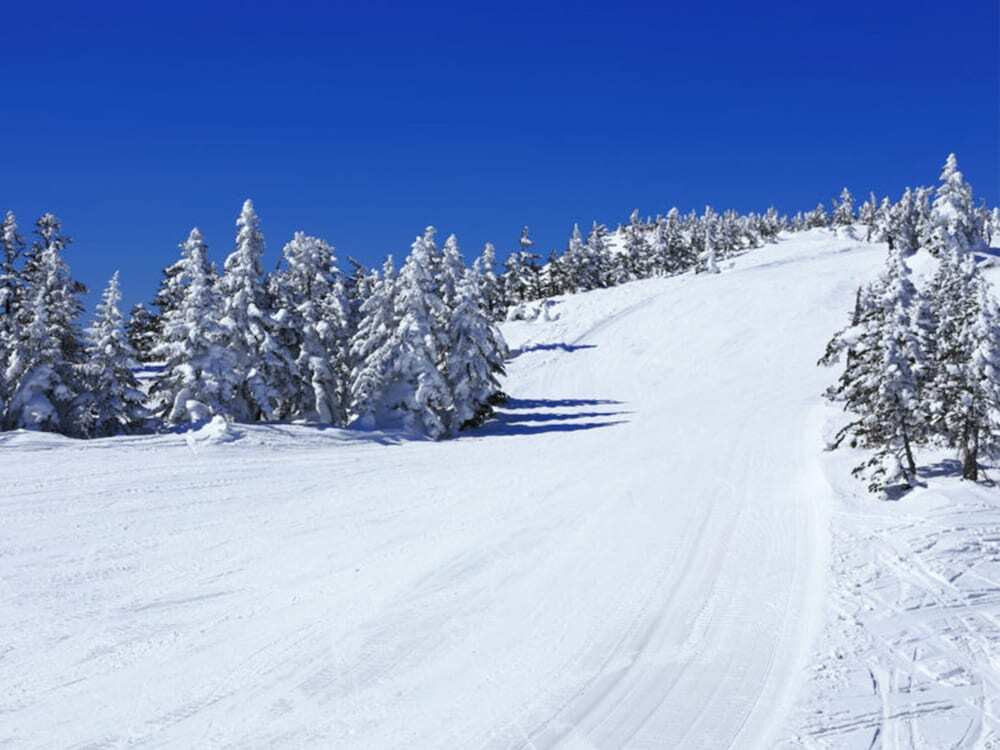 スノー スポーツとスキー