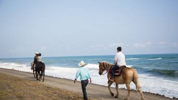アクティビティ / 1