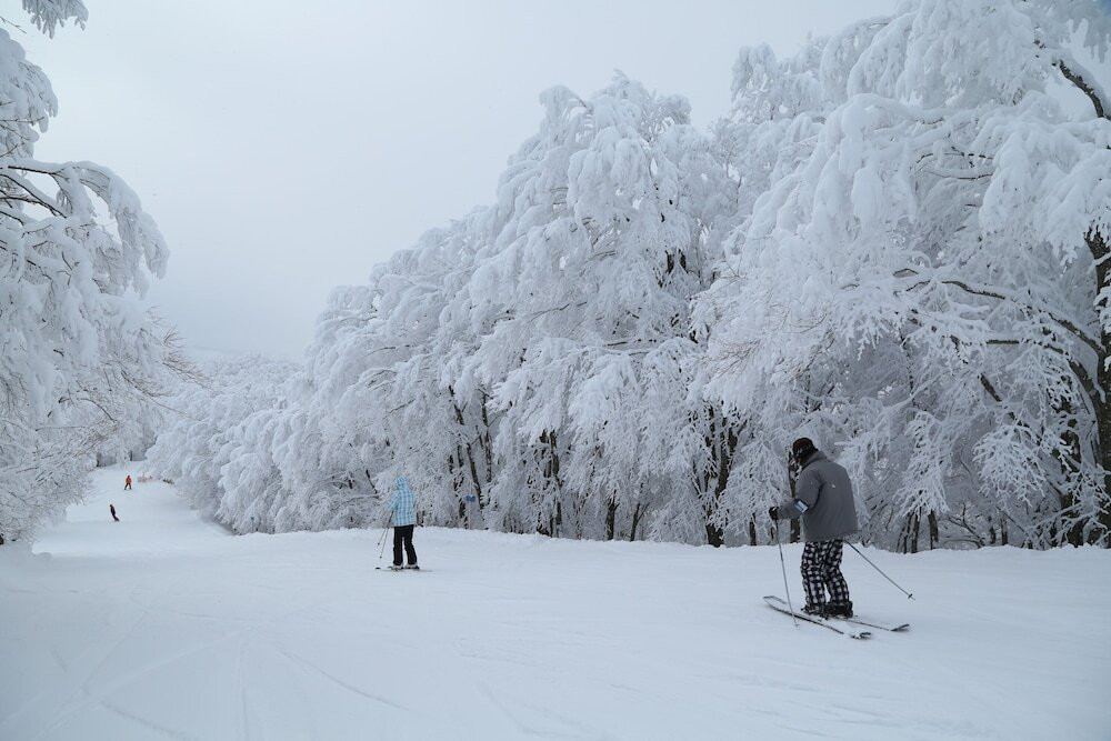 スノー スポーツとスキー
