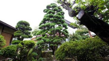 施設内の設備 / 9