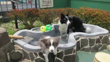 施設の敷地 / 26