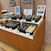 東横イン羽田空港1（東京都 ビジネスホテル） / 5