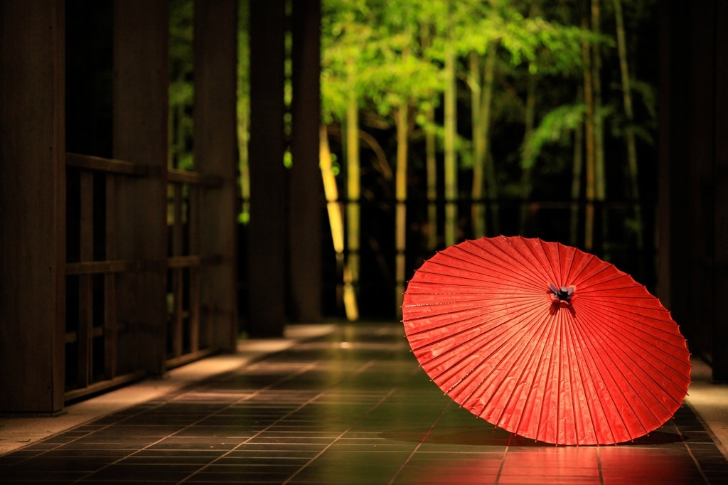 箱根で素敵な思い出作りを3542569