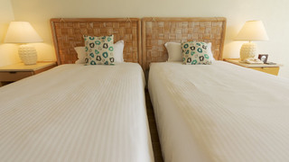 ナチュラルプレミア・グリーンビュー 禁煙（大人3名以上はスタッキングベット追加）