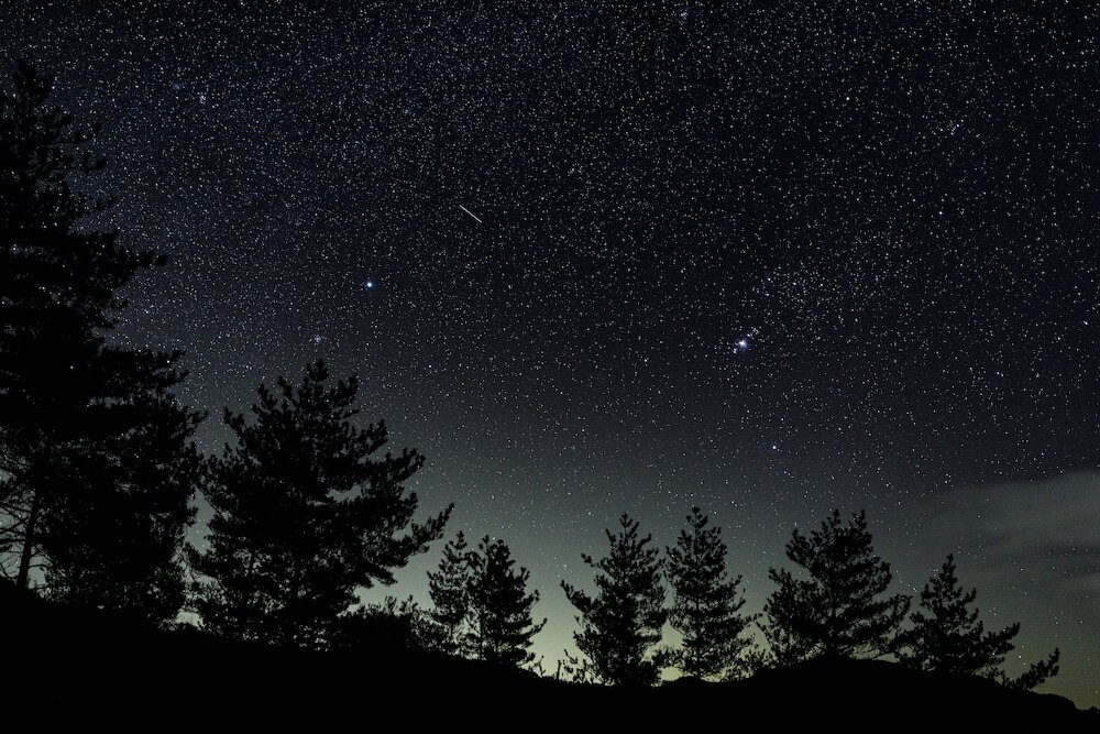 自家源泉を心ゆくまで。無料の星空ツアーも♪4010881