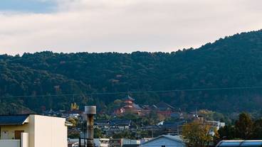 施設からの眺望 / 9