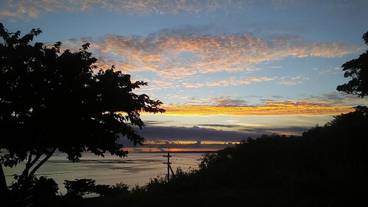 ビーチ / オーシャン ビュー / 15