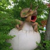 ホテル ブランヴェール那須(栃木県 リゾートホテル) / 3