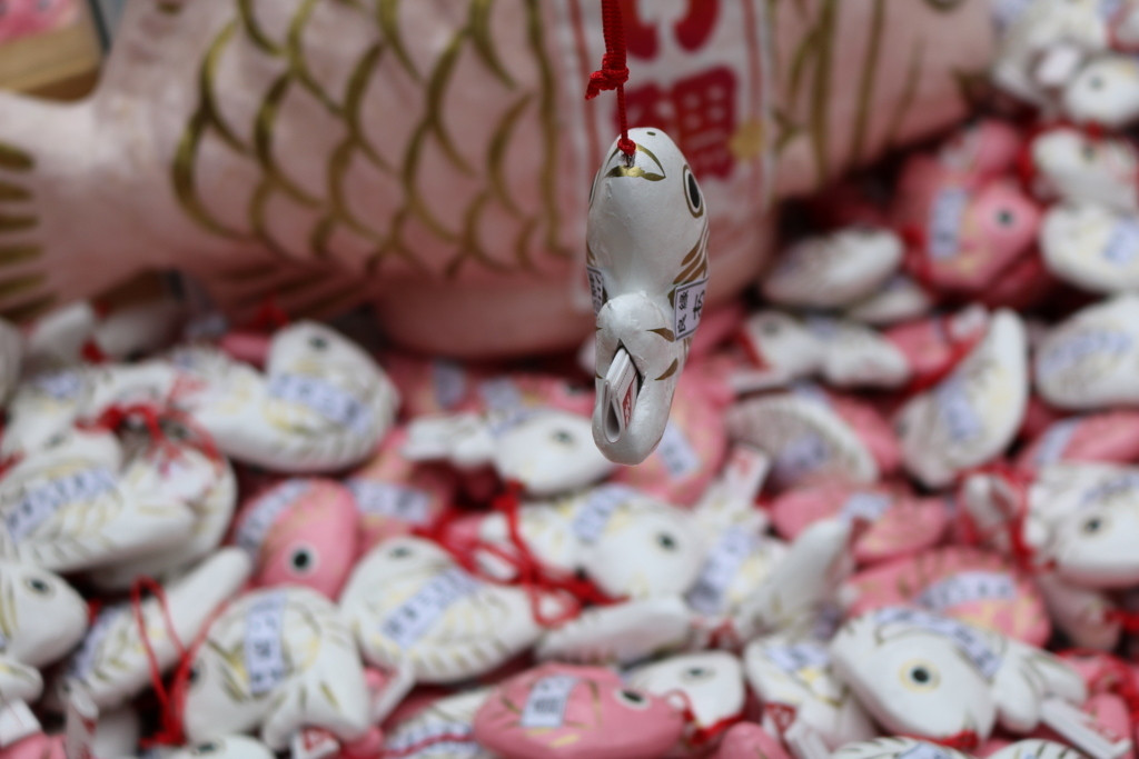 ”会いたい”気持ちを込めて引いてみよう。「あい鯛みくじ」2451545