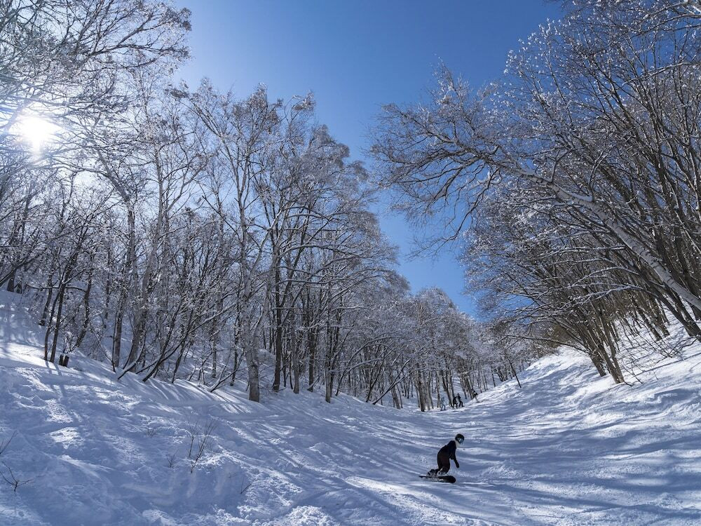 スノー スポーツとスキー