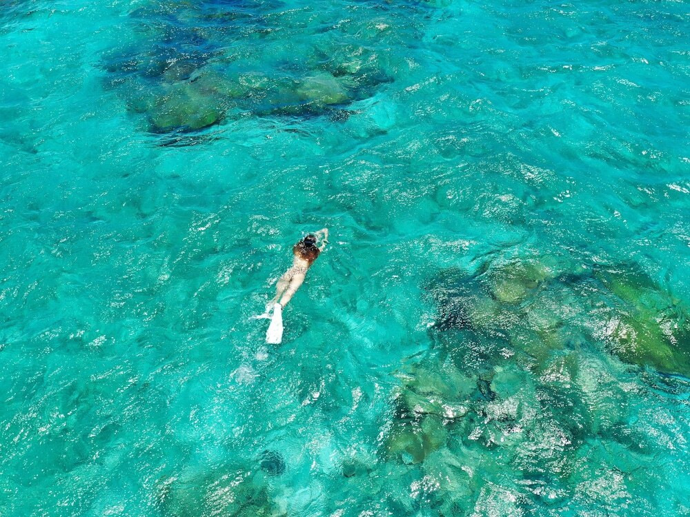 サーフィン / ボディボード