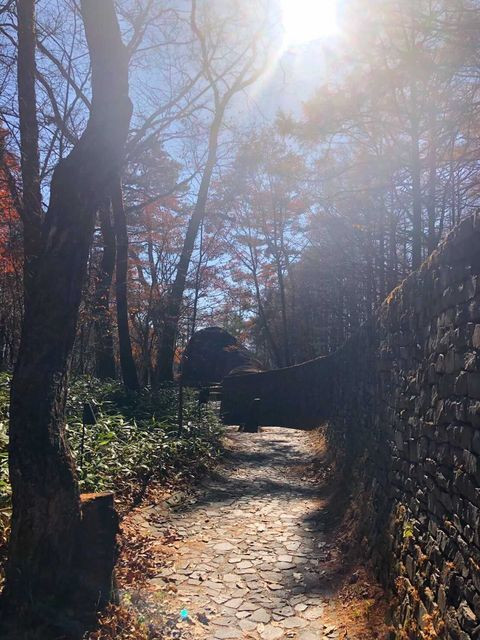 nail_to_oyadoさんの写真 / 1