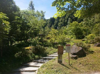 平湯大滝まで歩いてみよう4025411