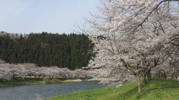 施設からの眺望 / 24