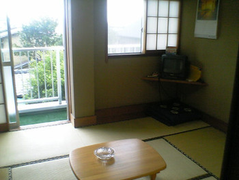 入れ替わり立ち代わり、猫がお部屋をパトロール♪4260572