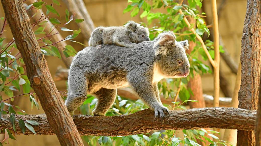 東山動植物園 / 4