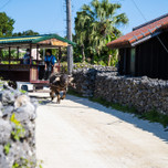 マンネリ日々から脱出！竹富島で島暮らし体験ができる民宿・ゲストハウス6選