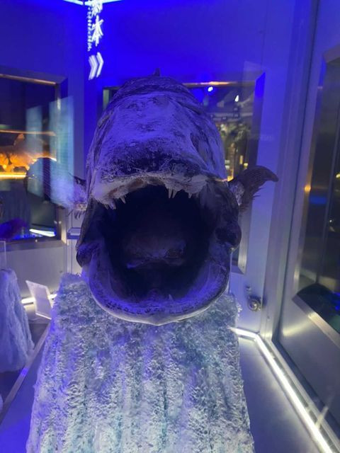 naoe.colonさんの写真 / 3