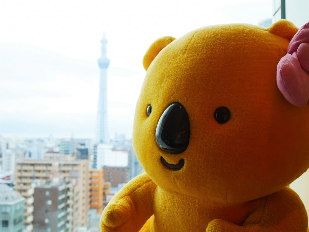 客室からの眺望