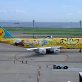 羽田空港(東京国際空港)（ハネダクウコウトウキョウコクサイクウコウ）