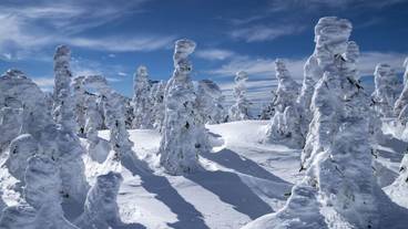 スノー スポーツとスキー / 5