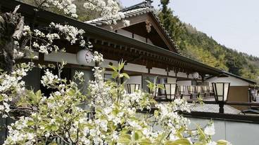 施設からの眺望 / 17