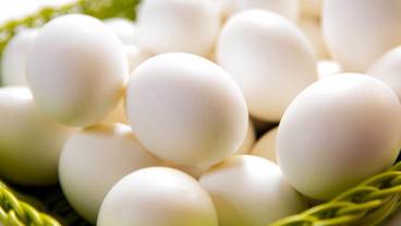 食事・飲み物 / 12