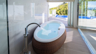 デラックスプールスイート 禁煙 (朝食 + フレンチディナー [17:00~17:30] 付き)