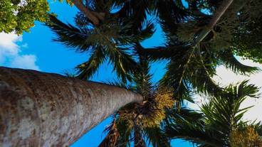 シティ ビュー / 28