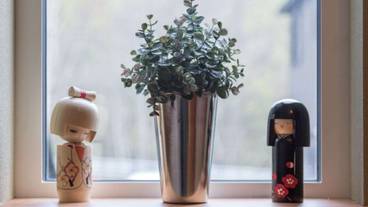 部屋からの景観 / 28