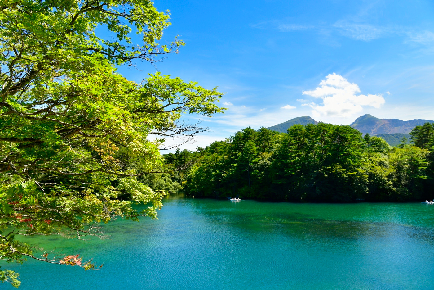 裏磐梯　毘沙門沼と磐梯山