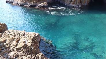 施設からの眺望 / 19