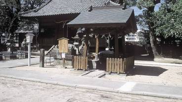 観光スポット / 8