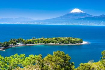 < Shizuoka > Mount Fuji and the fresh greenery of Cape Osezaki