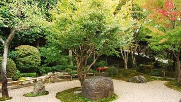 日本庭園 / 29