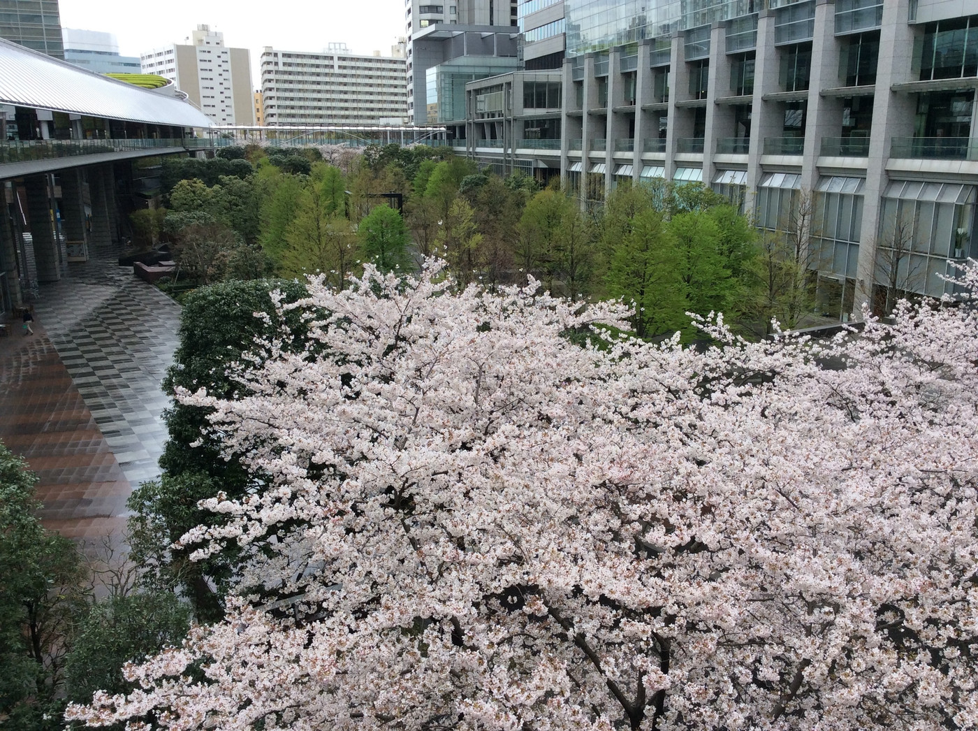 1. 品川インターシティ(品川)1558816