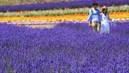 2人で過ごす贅沢なひと時。カップルで泊まりたい北海道のおすすめホテル11選