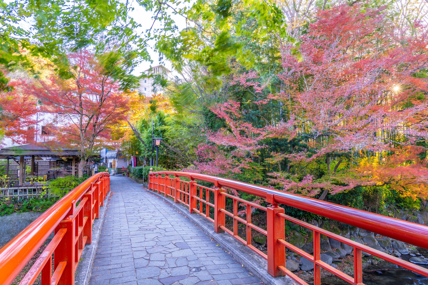 修善寺温泉の紅葉