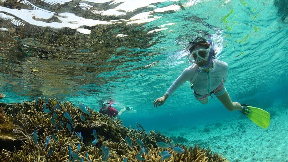 シュノーケリング / 3