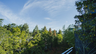 デラックス ルーム キングベッド 1 台 禁煙